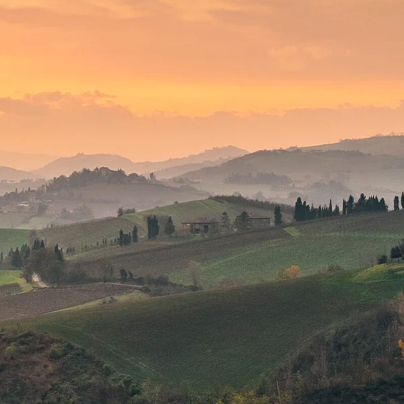 Monaci e Calici